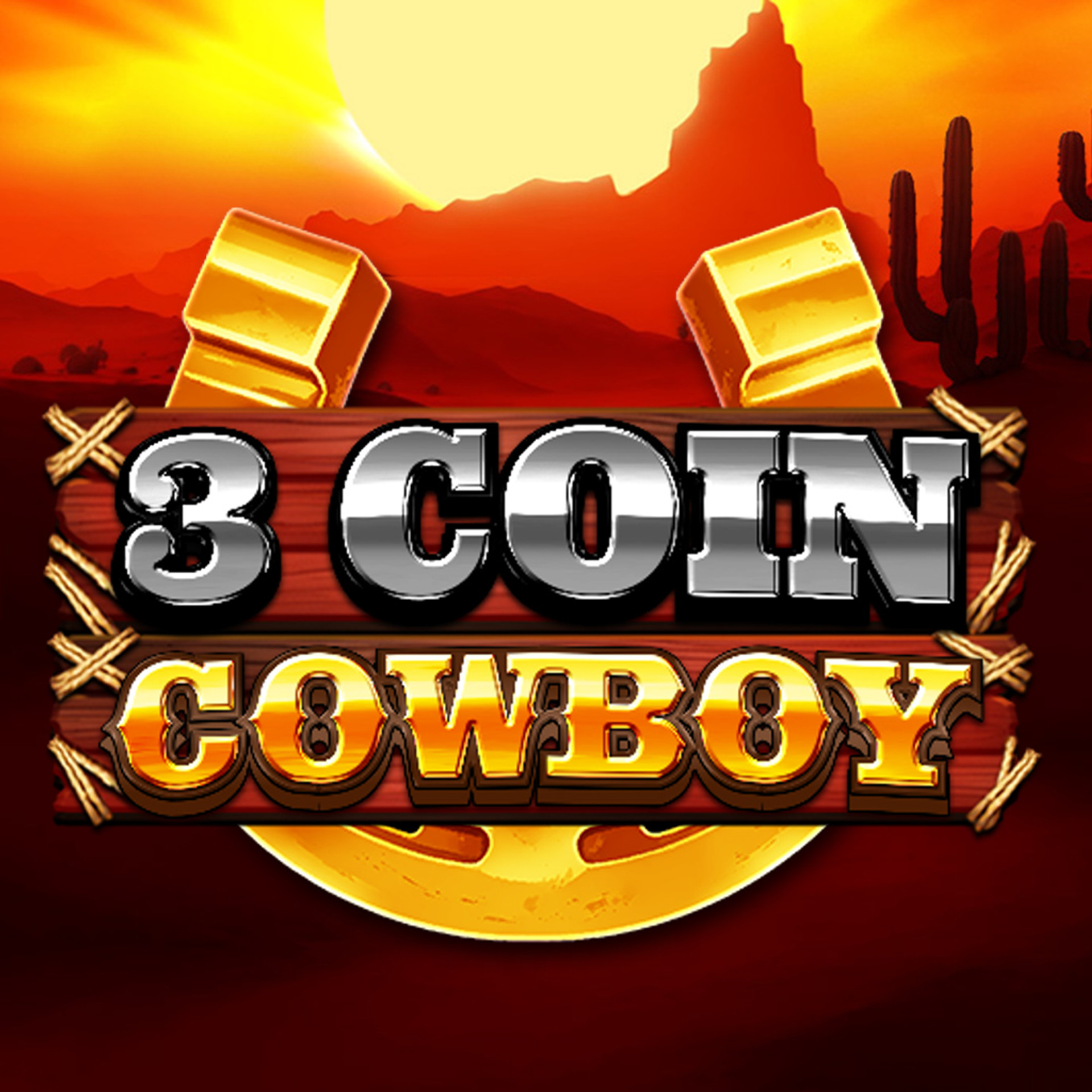 3 Coin Cowboy