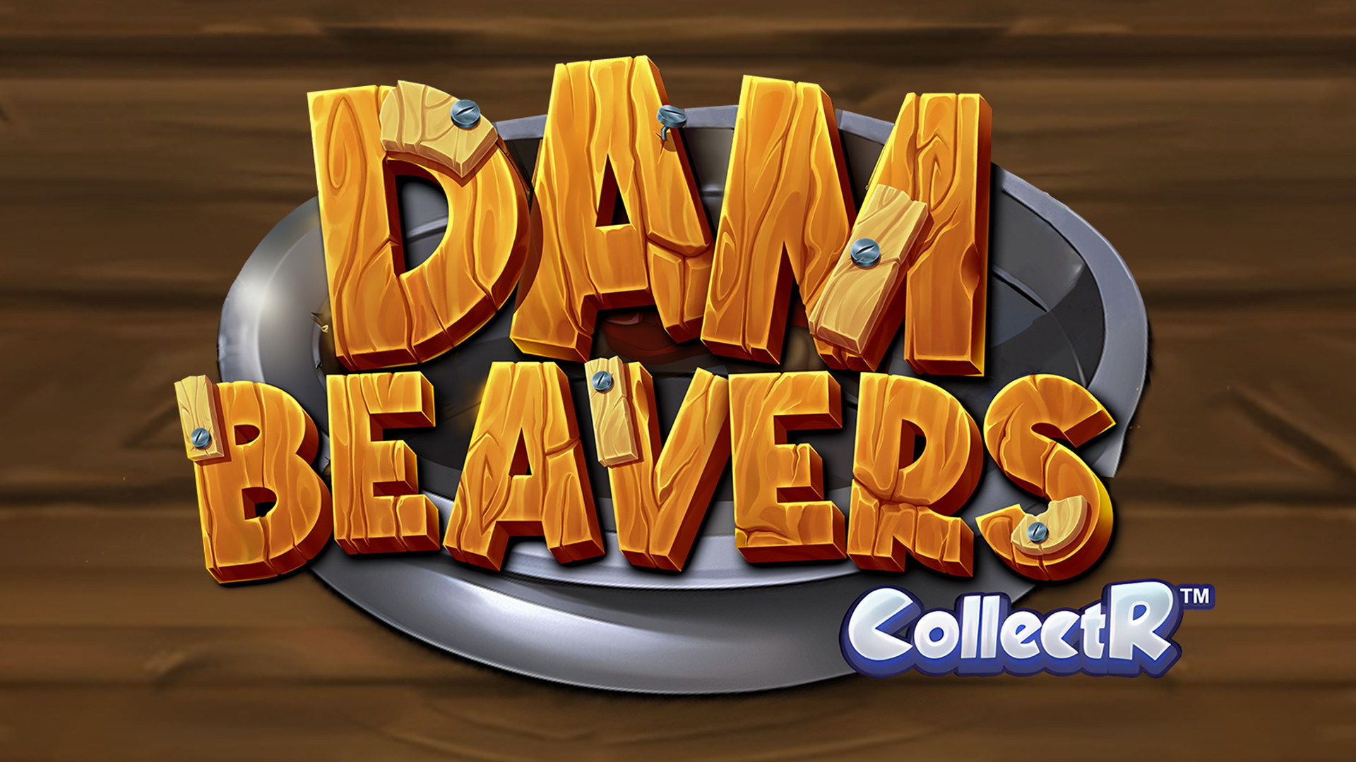 Dam Beavers