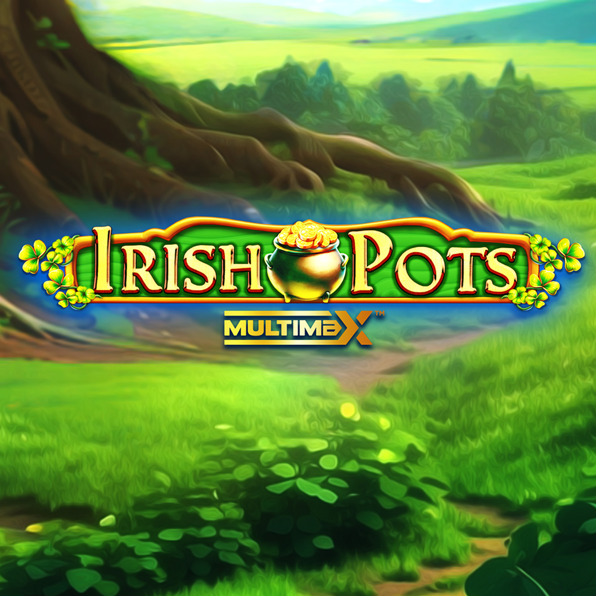 Irish Pots MultiMax