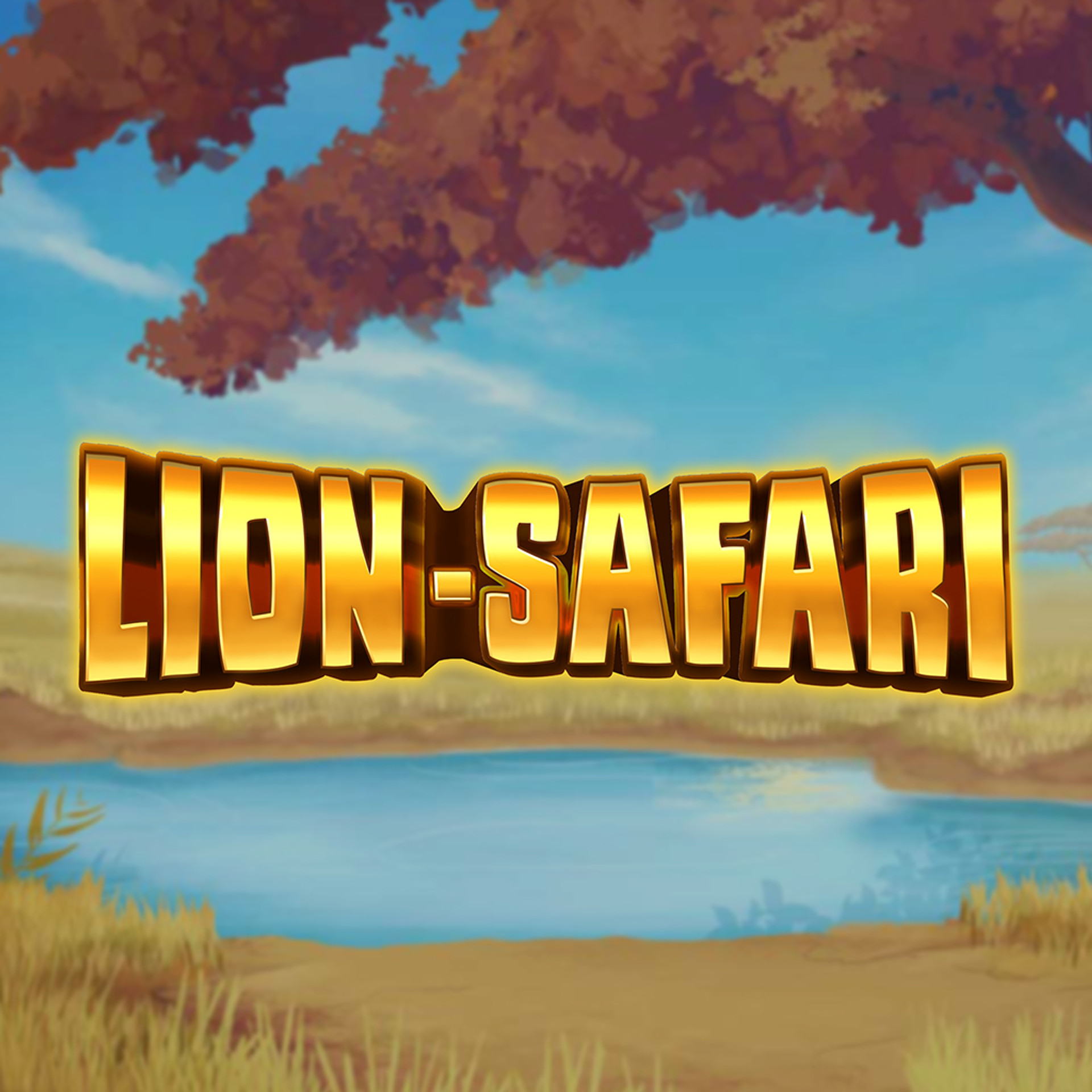 Lion Safari