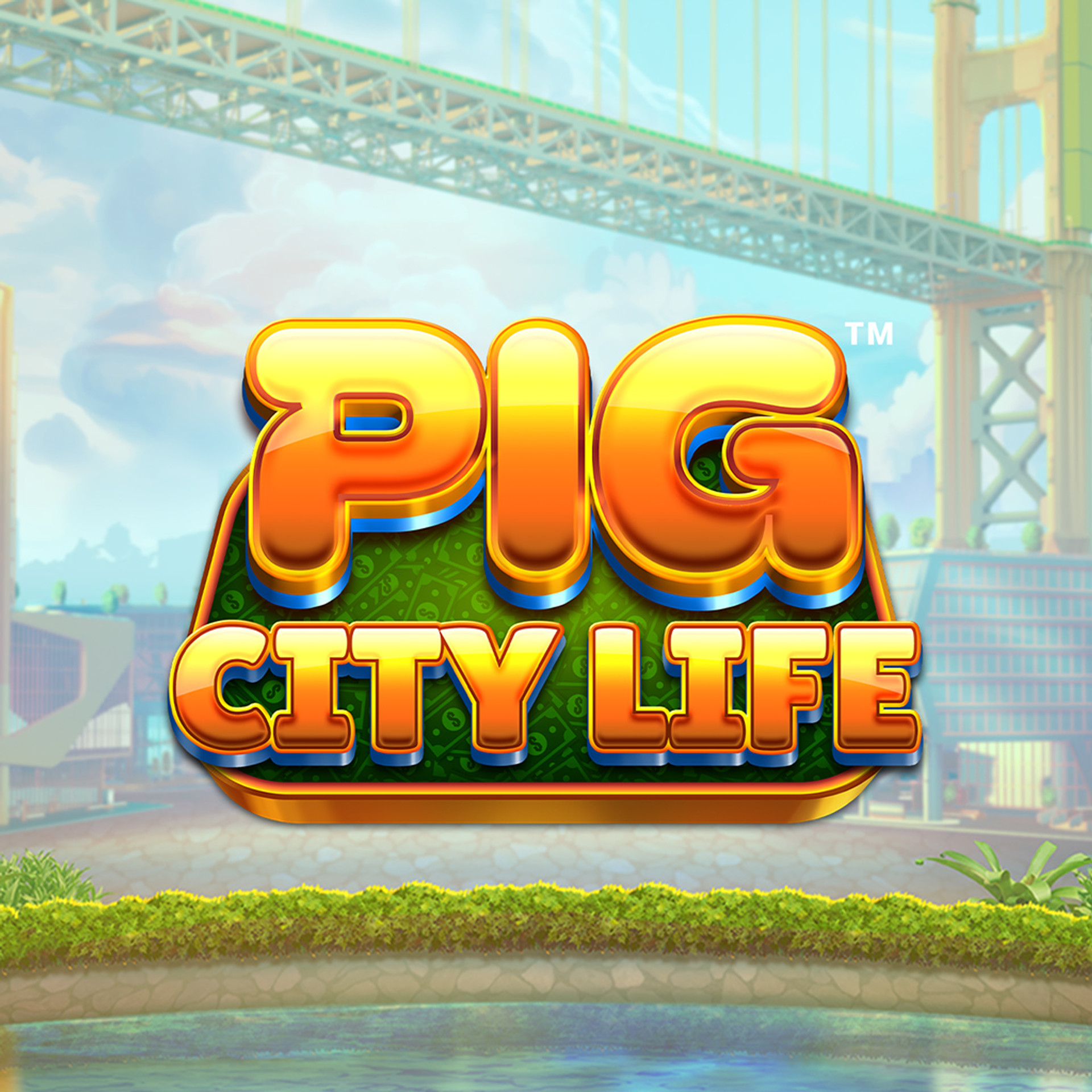 Pig City Life