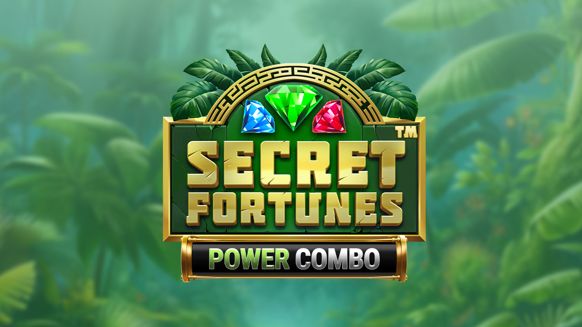 Secret Fortunes Power Combo