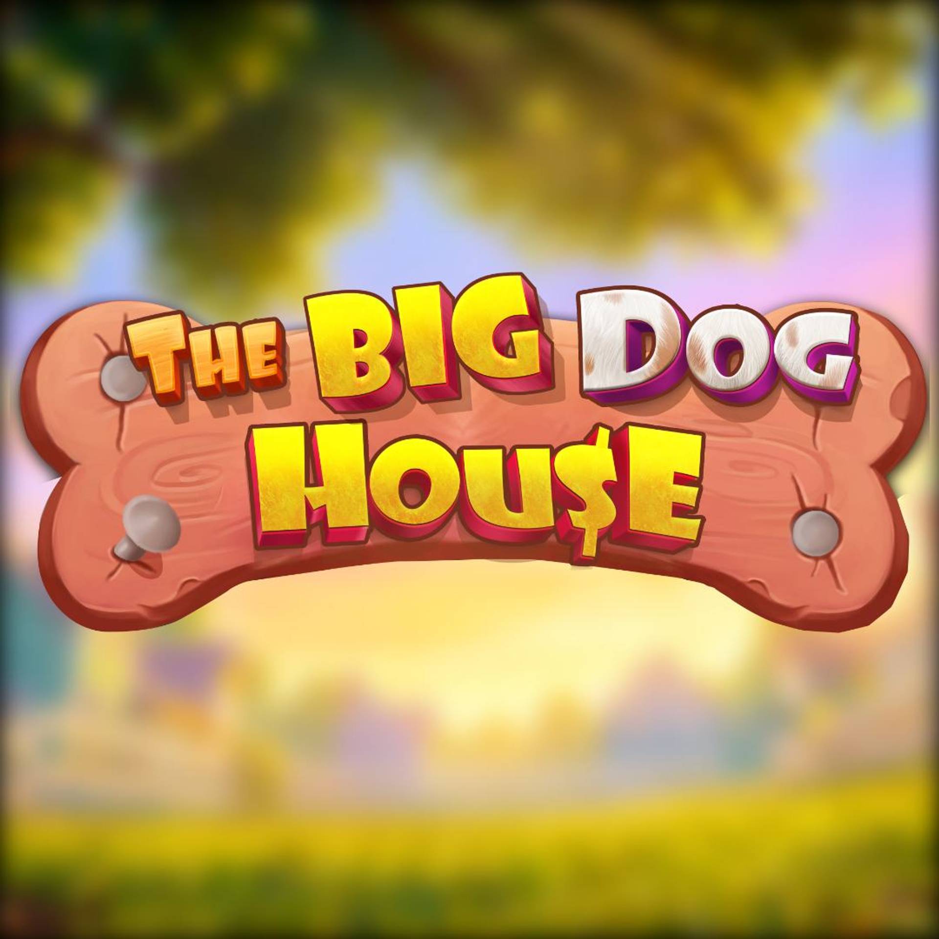 The Big Dog House