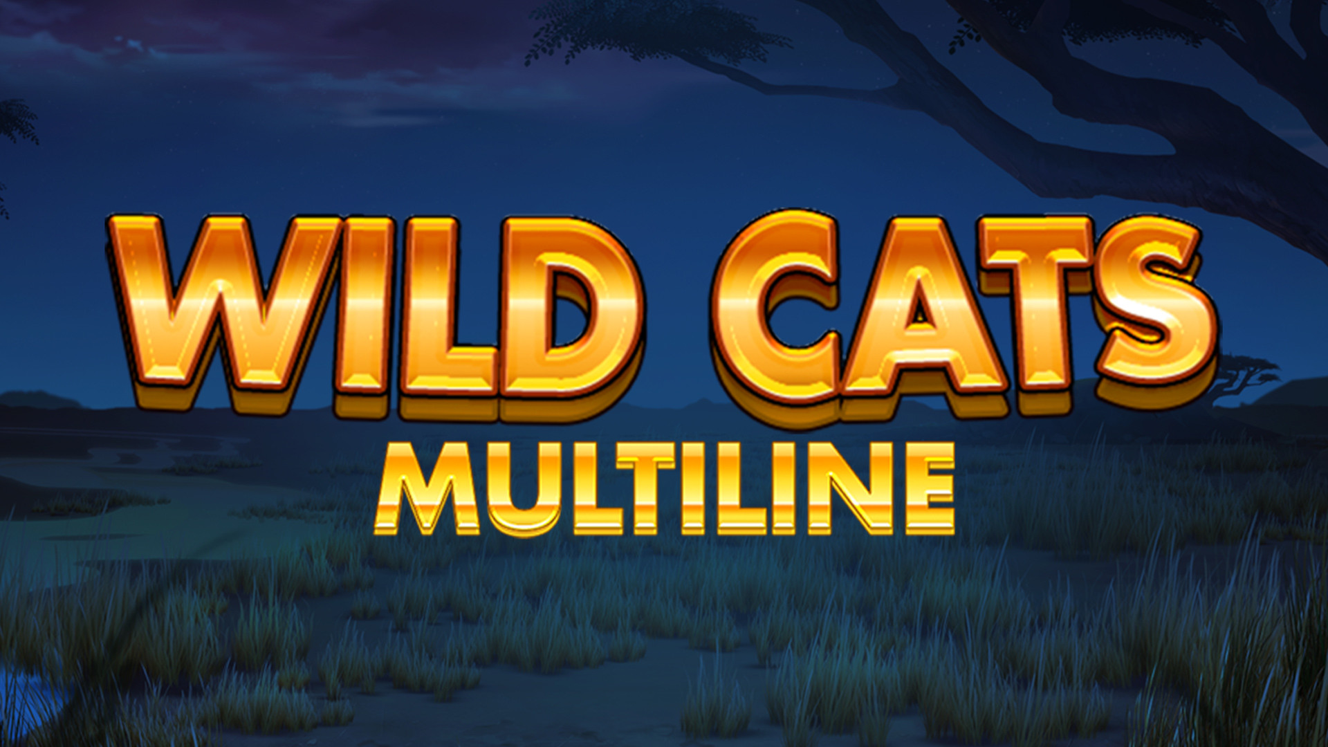 Wild Cats MULTILINE